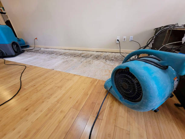 Professional Burst Pipe Water Damage technician working in Johnstown, OH